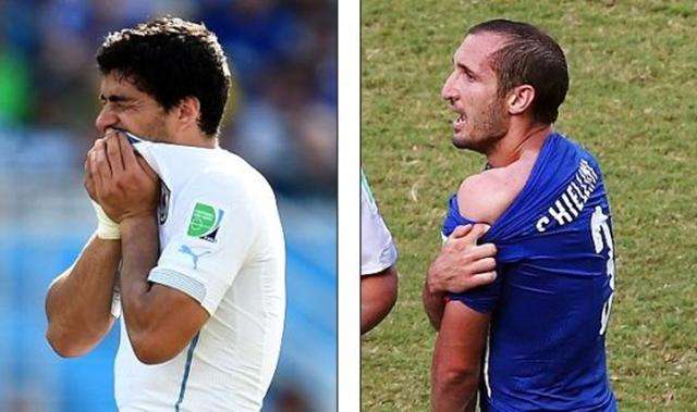 从未在追求 从未在追求