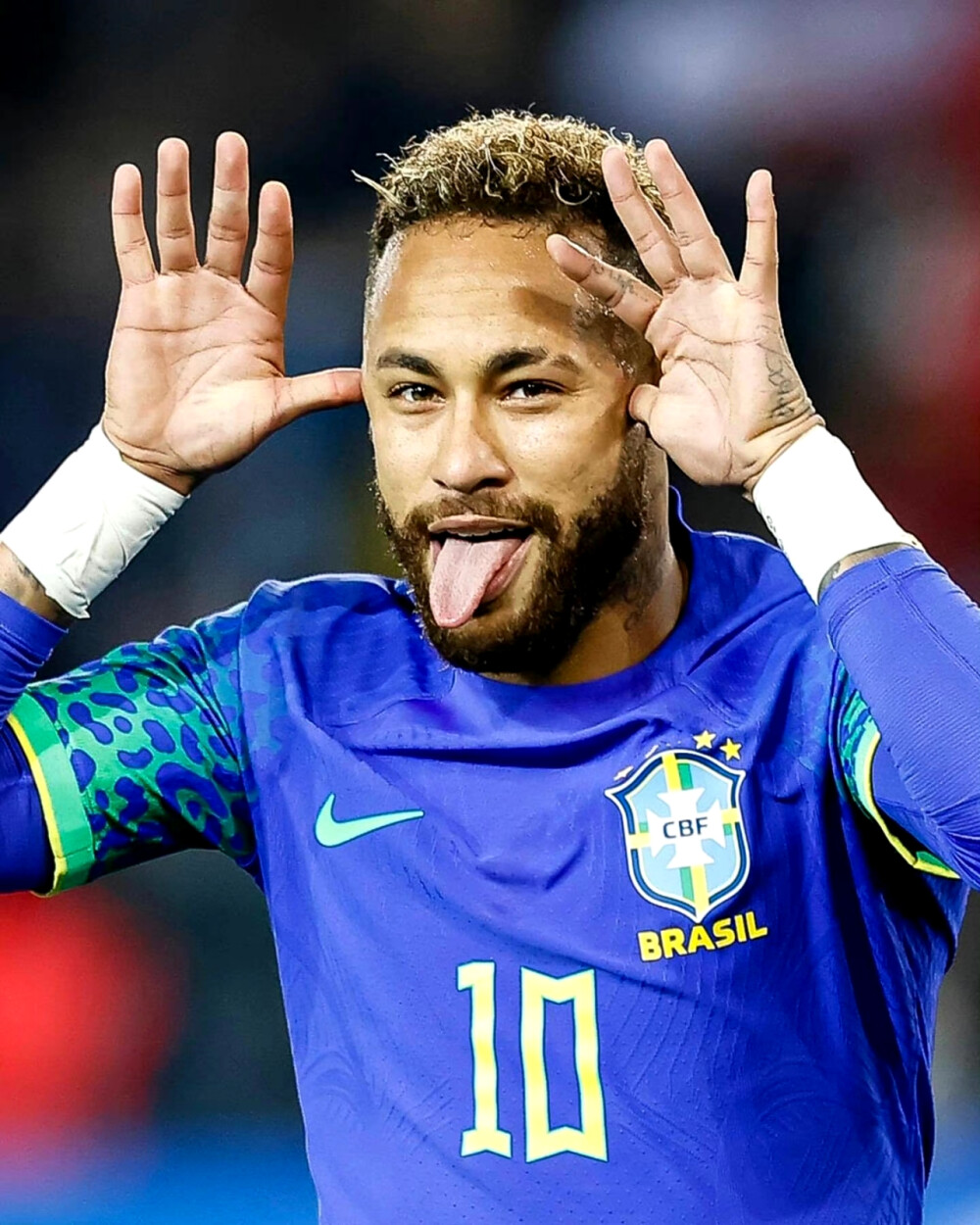 国际象棋赛 国际象棋赛