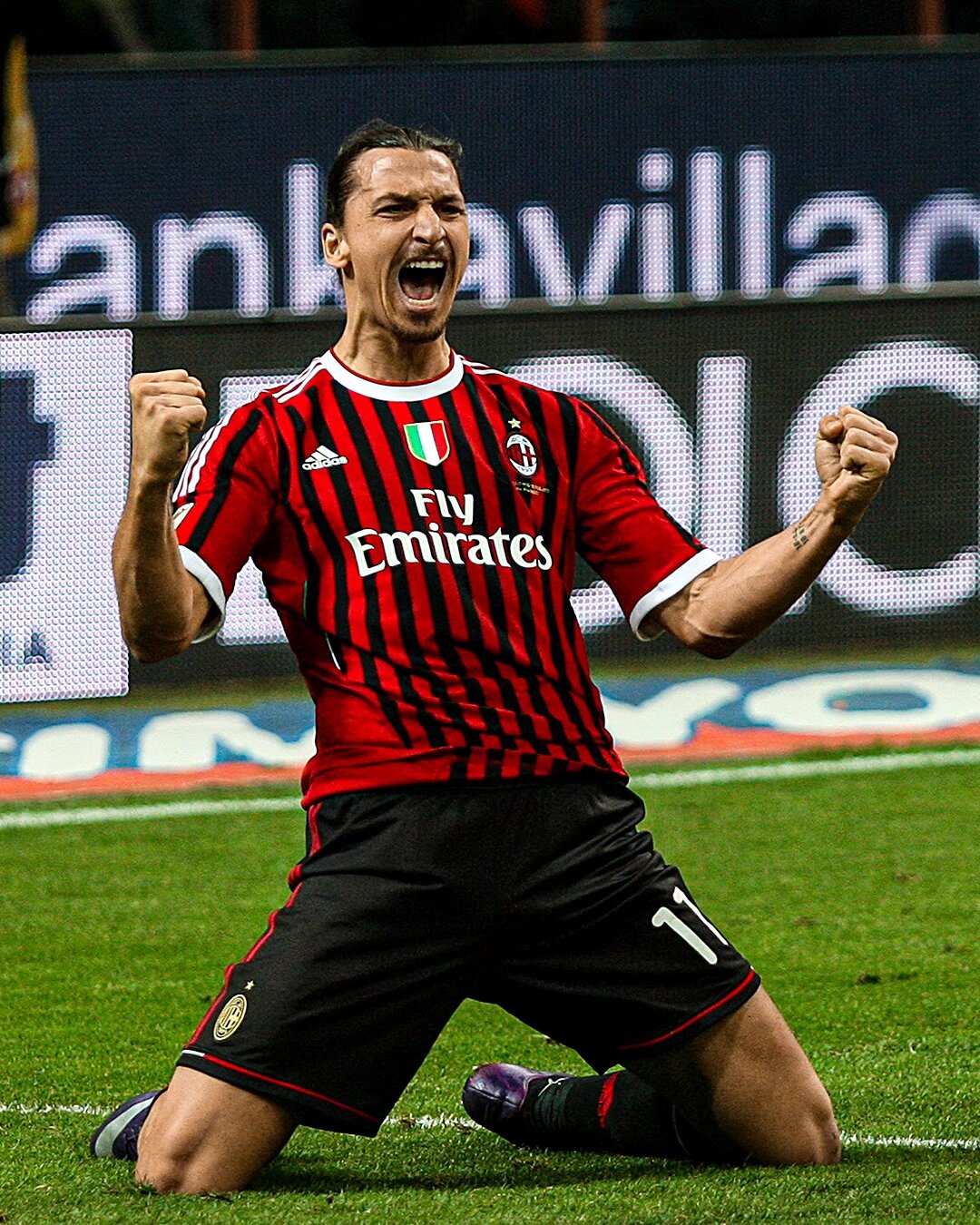 发的鲜花 发的鲜花