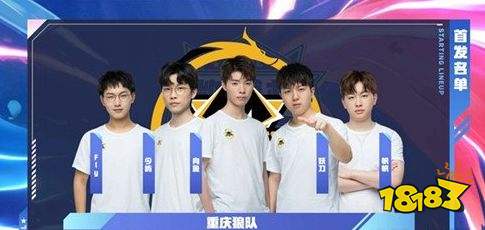 满足观赛与